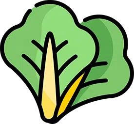 indian restaurant in st. catharines